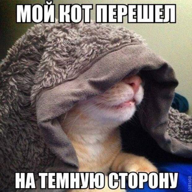 Первая подборка прикольных картинок в 2015 году
