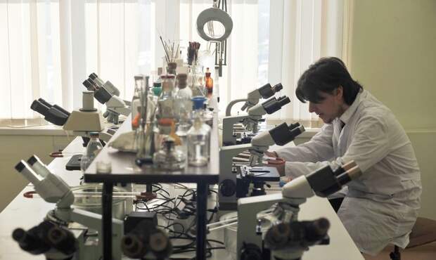 Путин назвал научные школы колоссальным преимуществом России