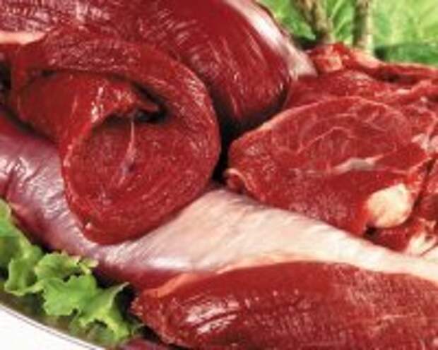 Безопасность и качество пищевых продуктов