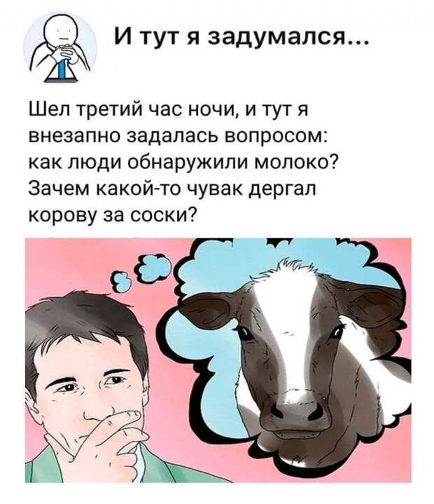 205895_9_trinixy_ru.jpg