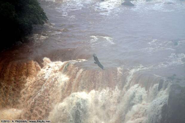 Водопады Игуасу Iguazu07 Водопады Игуасу