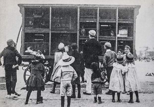 Отдых на британских пляжах в 1890-х годах