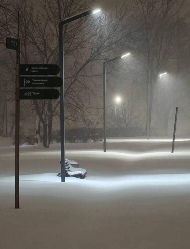 Москву замело снегопадом! Кубань пока держится: дожди и понижение температуры в первый рабочий день