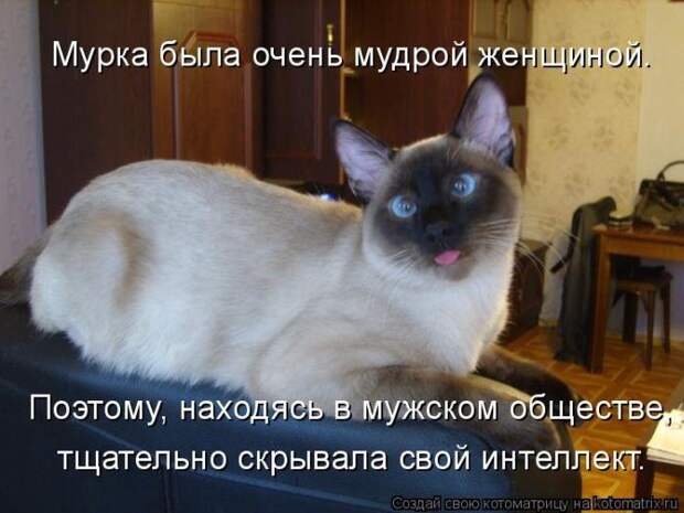 Мысли вслух :)