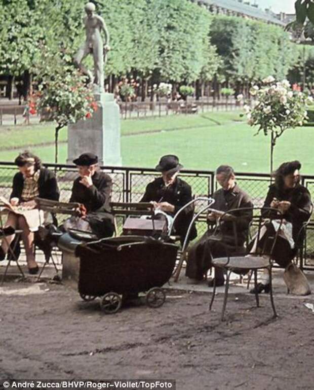 article-2417335-1BC1D03A000005DC-654_472x586.jpg article-2417335-1BC1D03A000005DC-654_472x586.jpg