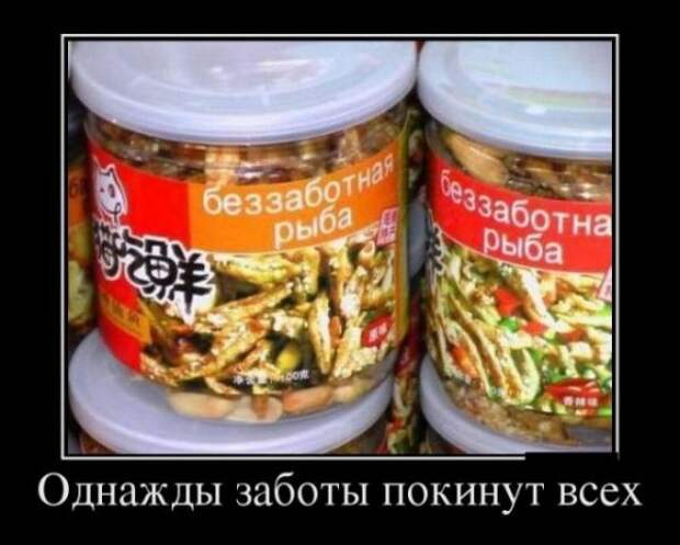 Обо всём.