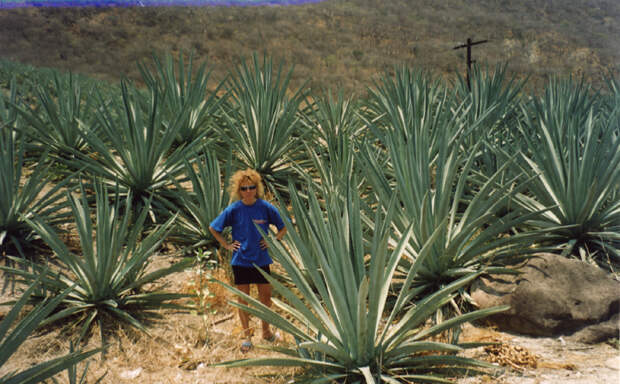 http://www.mexico.ru/gallery/img/10.jpg