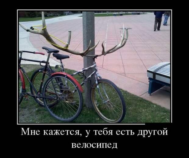 Воскресные демотиваторы для настроения (11 фото) Воскресные демотиваторы для настроения (11 фото)