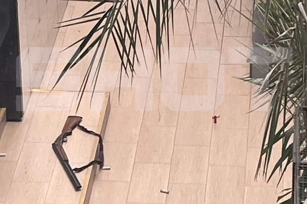 Baza: студент, устроивший стрельбу в колледже Анапы, предупреждал о нападении