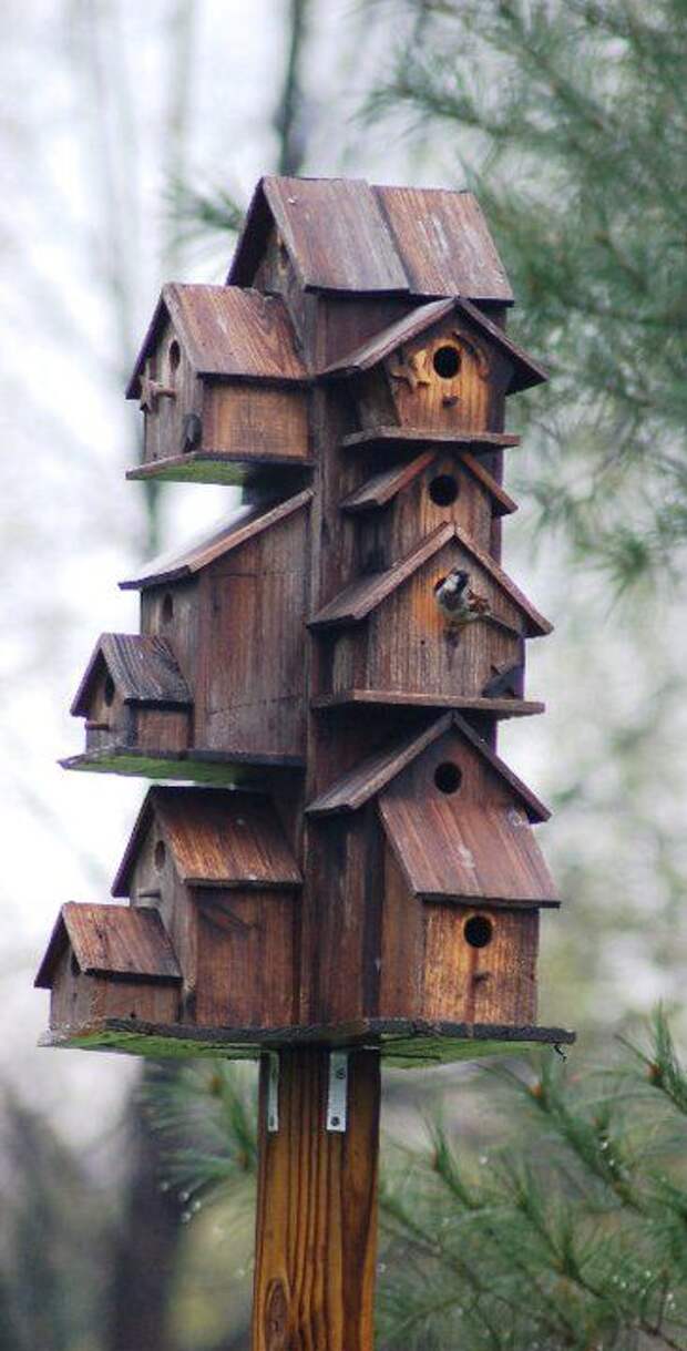 BIRD HOUSE – Affordable housing is still available at this bird sanctuary condominium. Several floor plans are available.: 