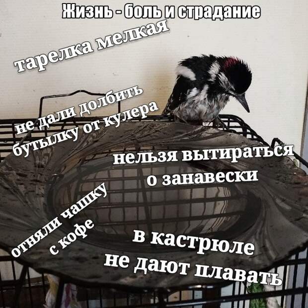Подборка прикольных фото (63 фото) 29.08.2019