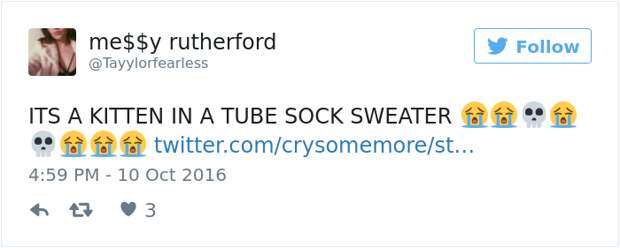 kitten-tube-sock-sweater-hurricane-matthew-5