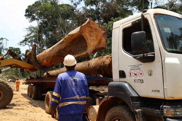 Нарушение девственных лесов в результате вырубки леса, добычи полезных ископаемых, строительства дорог, быстрой урбанизации и роста населения приводит к более тесному контакту людей с дикой природой, повышая риск заболеваний