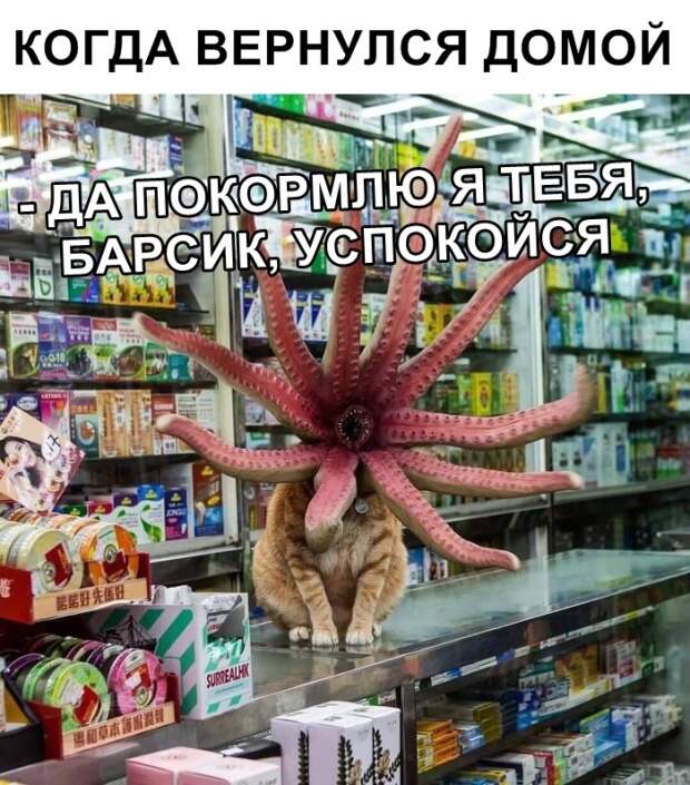 Подборка картинок. Дневной выпуск (20 фото)