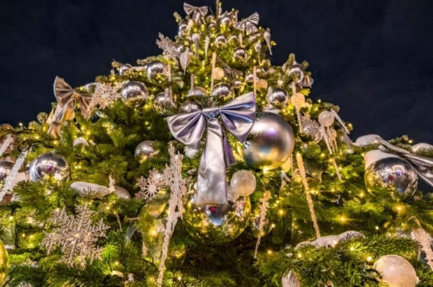 Гольдштейн раскрыла, стоит ли отпускать подростка с друзьями в Новый год