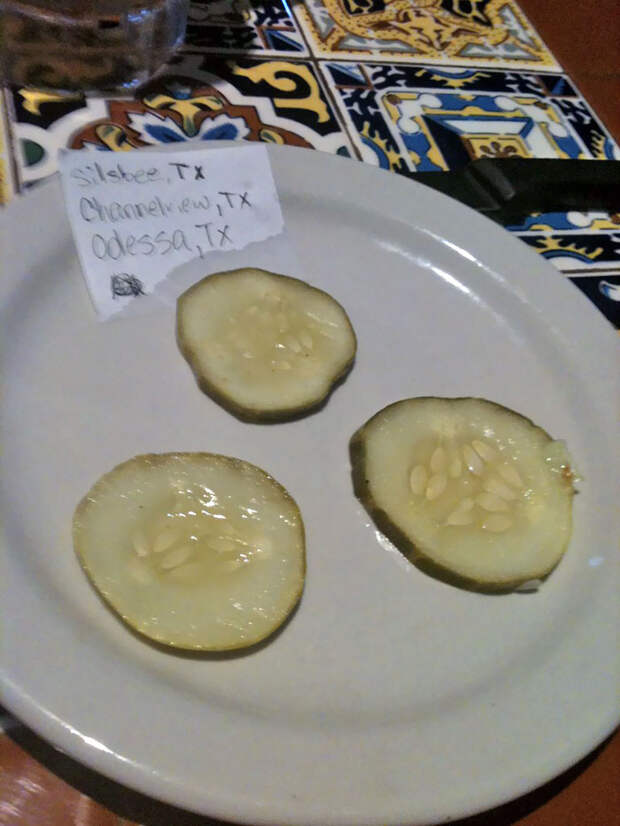 I Ordered A Burger And Told My Waiter That For Every Pickle I Receive, I Will Destroy A City. He Returned With This And Said 