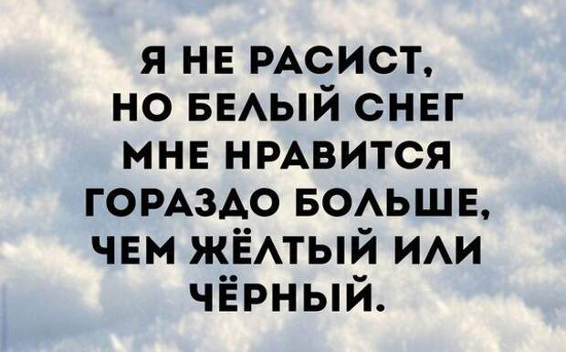 Злободневные цитаты. Голосуйте!
