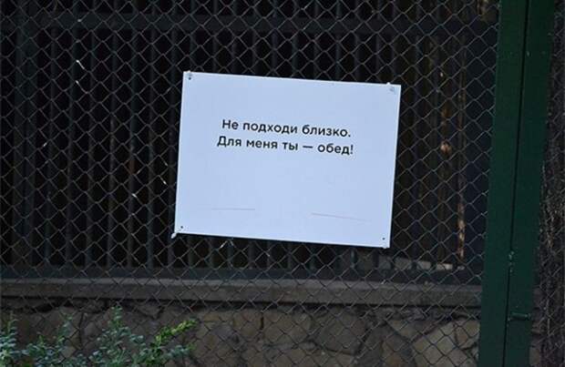 Добро пожаловать в зоопарк!