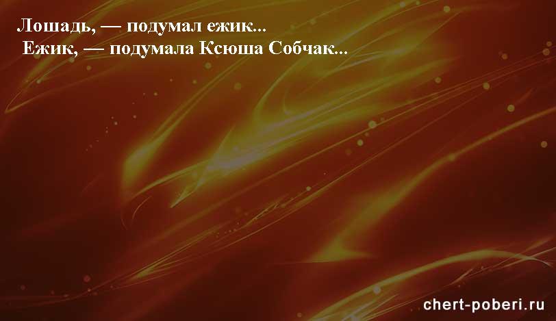 Самые смешные анекдоты ежедневная подборка chert-poberi-anekdoty-chert-poberi-anekdoty-48130111072020-6 картинка chert-poberi-anekdoty-48130111072020-6
