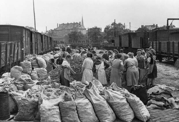 Жители Берлина получают картошку от советской военной администрации в Германии, 19 мая 1945 года. история, ретро, фото