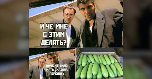 15 шуток о кабачках и их владельцах 15 шуток о кабачках и их владельцах
