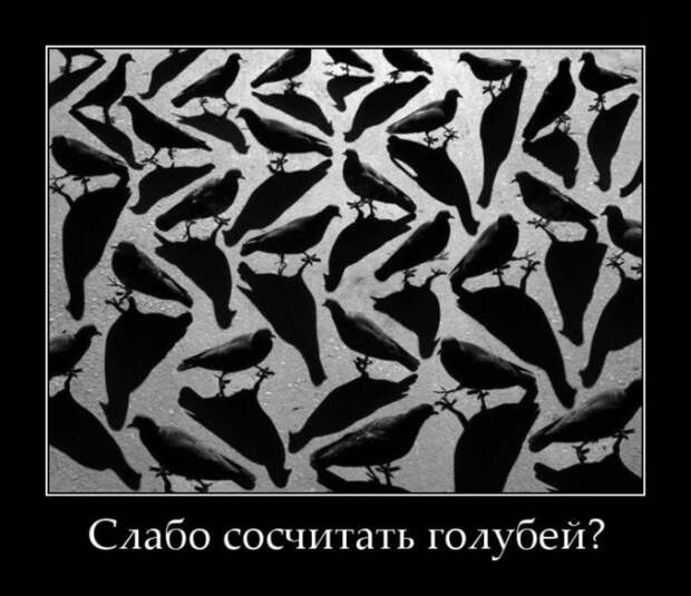 www.vsyako.net