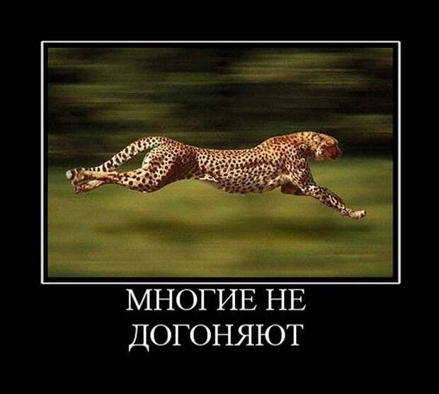 Демотиваторы демотиваторы, прикол, юмор