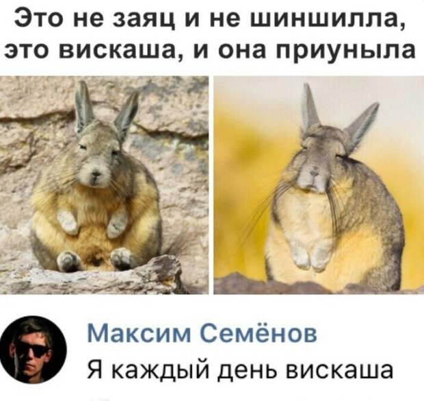 Подборка прикольных фото