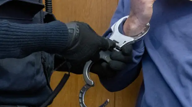 Юрист Илья Ремесло прокомментировал арест фотографа Струкова, сотрудничавшего с ФБК