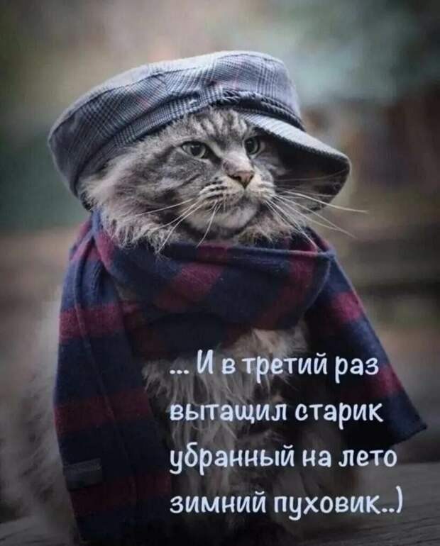 Коротко о погоде на ближайшие дни в Донецке https://t.me/webmoney_dn/320436