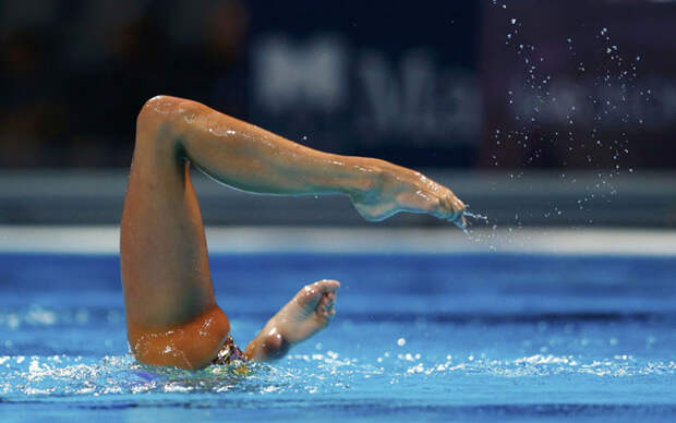 Яркие фотографии Чемпионата мира по водным видам спорта