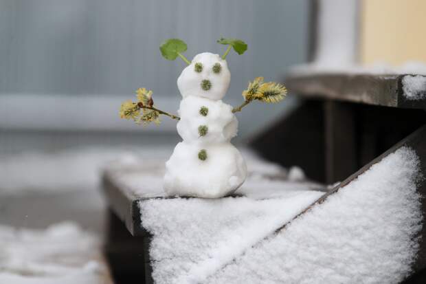 Названа причина апрельских заморозков в Москве