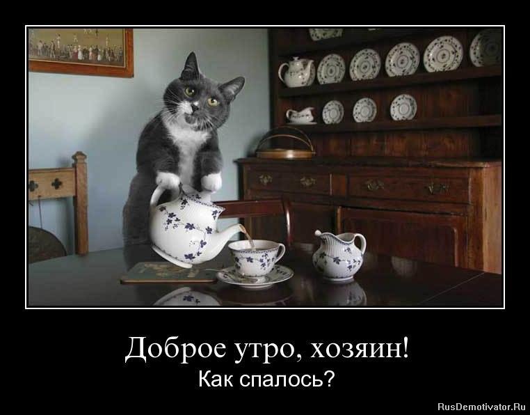 Веселые демотиваторы для хорошего настроения (11 фото) Веселые демотиваторы для хорошего настроения (11 фото)