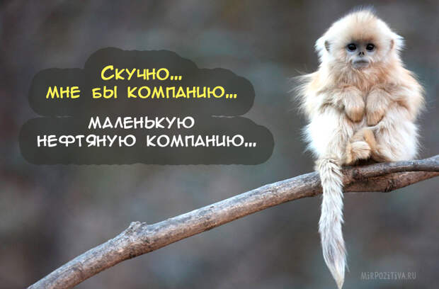 Самая веселая подборка прикольных картинок
