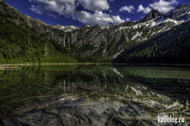 Реальная красота (60 фото)