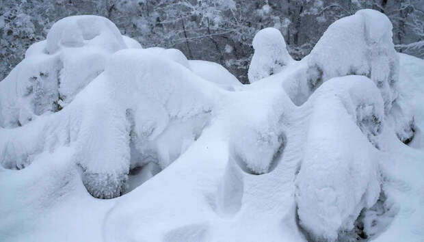 Синоптик Шувалов предупредил москвичей о полуметровых сугробах