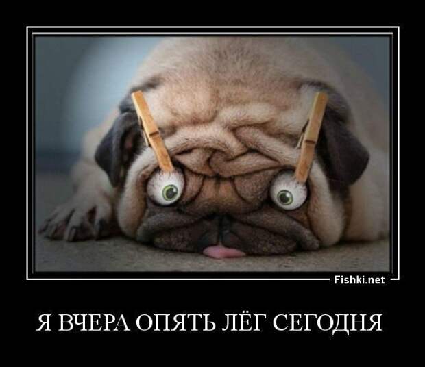 Снова демотиваторы!