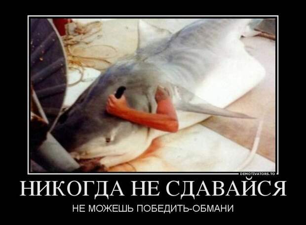 30 демотиваторов дня от 23-01-2014