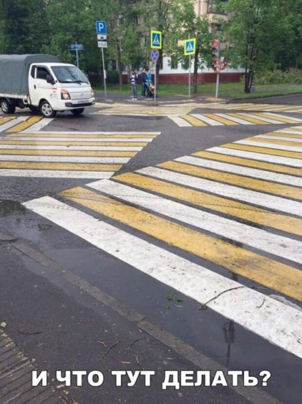 Подборка прикольных фото