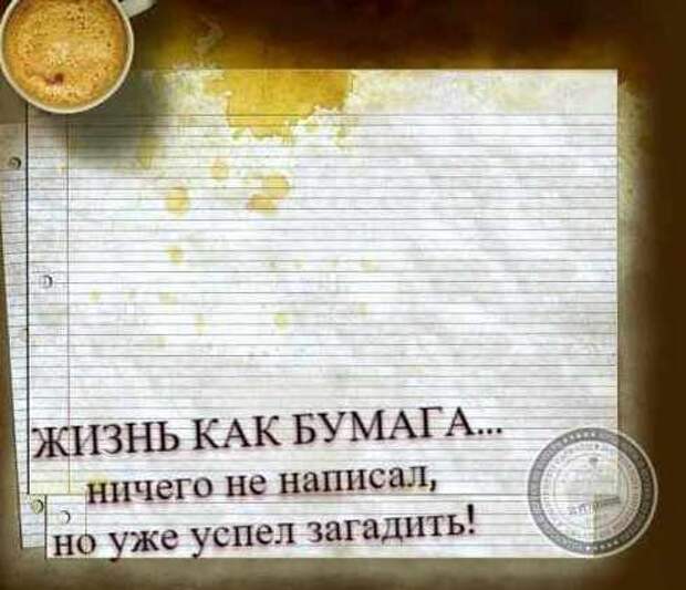Наша жизнь как бумага: ничего не успел написать, но уже загадил…