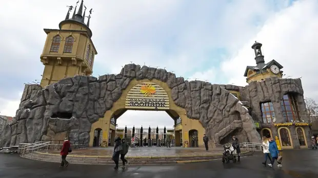 В Московском зоопарке появился на свет птенец краснокнижного журавля