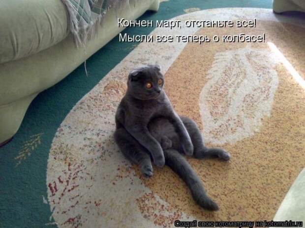 Забавные животные (50 фото)