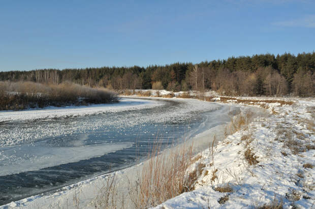 http://ic.pics.livejournal.com/lesnoyskitalets/18615776/969784/969784_original.jpg