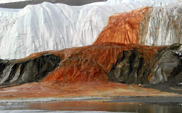 Кровавый водопад (Антарктика)