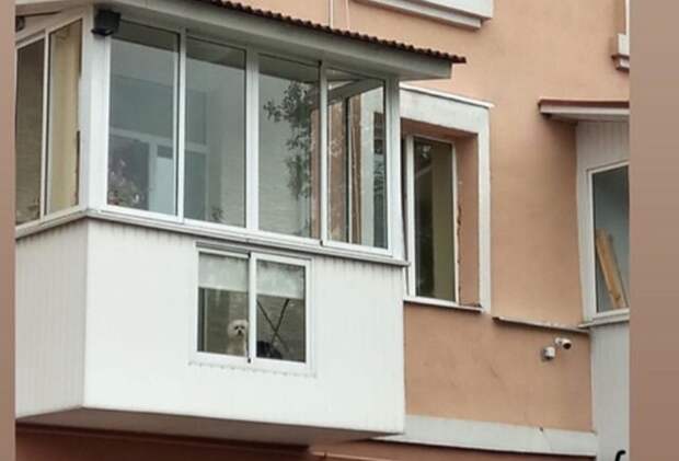 Когда хозяева квартиры думают не только о себе