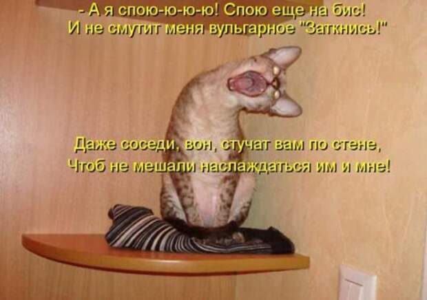 42933ab3df5b2ae7b1d17fbea57_prev