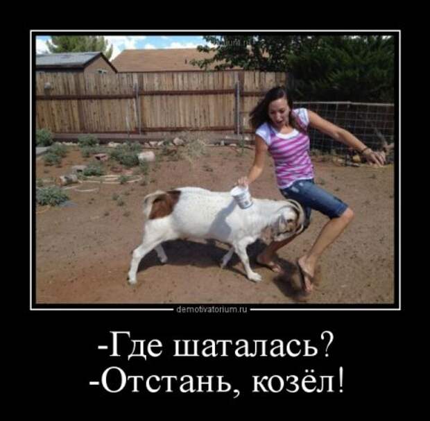 Демотиваторы разные, только без истерик)