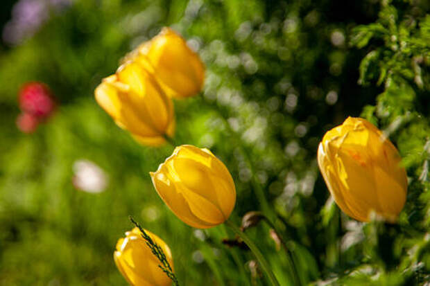 Лето‑2026 стартует с длинных выходных: когда отдыхать в июне