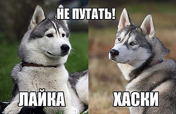 clip_image002
