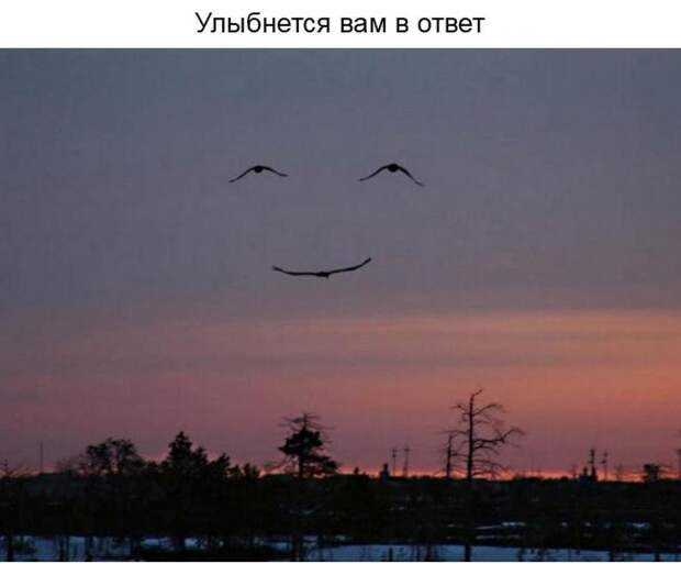 О ценности улыбки в нашей жизни (23 фото) О ценности улыбки в нашей жизни (23 фото)